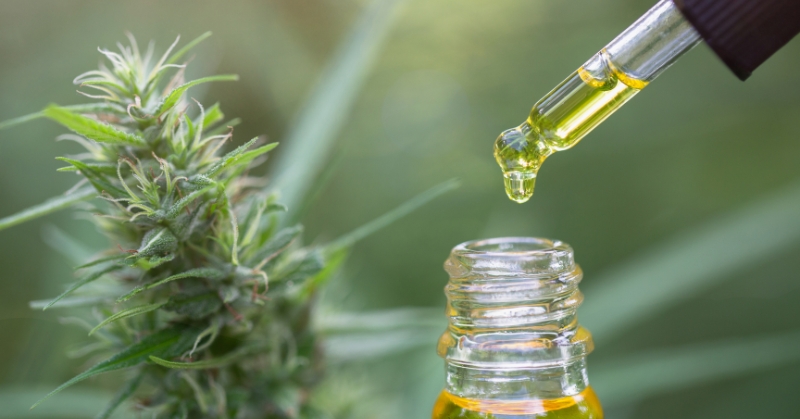 מה חשוב לדעת לפני שקונים CBD