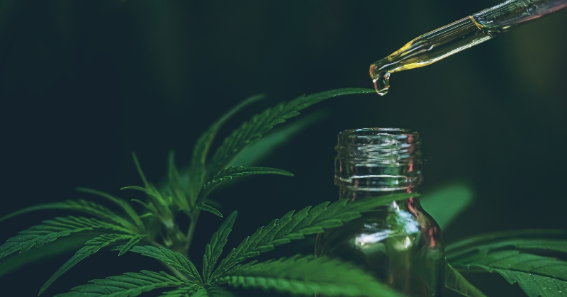 מה זה CBD ואיך הוא משפיע על הגוף?