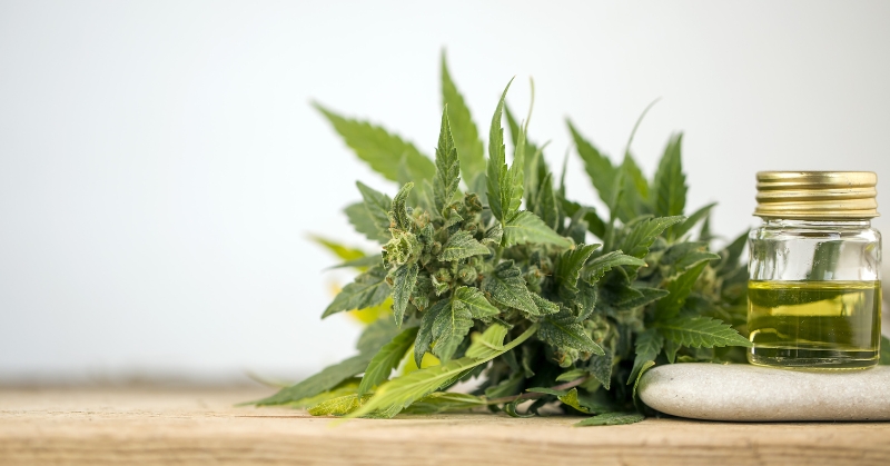 CBD ושינה – האם זה באמת עובד?